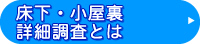 床下・小屋根裏詳細調査とは