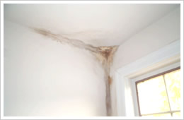 住宅調査個所/外壁からの漏水
